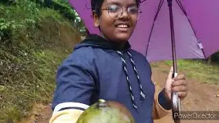 Thattamala forast vibe