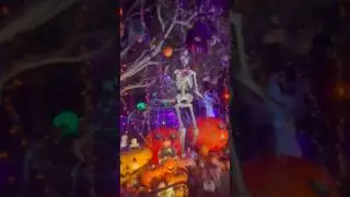 🎃 Halloween 2025 decorations in Dallas! 👻#halloween #ytshorts #trendingsong #dallasevents #usa