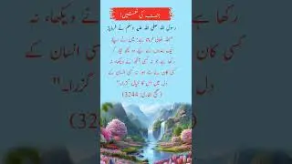 Unimaginable Rewards in Paradise &ndash; A Hadith You Must Hear! #shorts