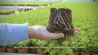 What is GreenGuard? ENG subtitles