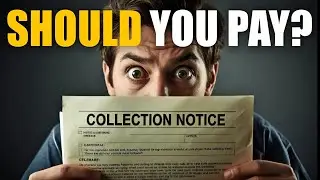 Стоит ли платить по сборам или отпустить их?