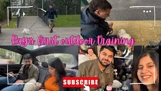 Puppy outdoor training session in Manchester🐶 Dog training options in UK🇬🇧 #Raytrainingday |SOS_Vlog
