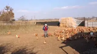 La plimbare prin 