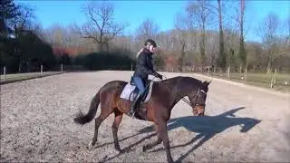 rechtrichten slangelijnen