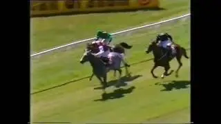 1989 Kildangan Stud Irish Oaks