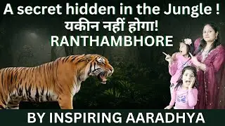 Ranthambore Hidden Secrets Revealed | Adventure travel vlog 🎥 | 🐅 Jungle Safari | Fort Visit 🏰