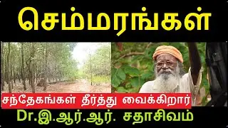 செம்மரம் சில சந்தேகங்கள் | நிவர்த்தி செய்கிறார் விஞ்ஞானி dr. ERR. சதாசிவம் #redsanders #semmaram