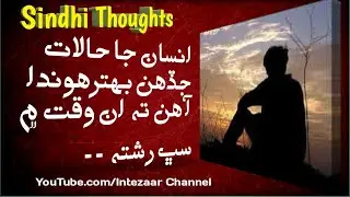 Sindhi Thoughts | Insan Ja Halaat | Motivational Words | Quotes | Golden Words | Sindhi Quotes