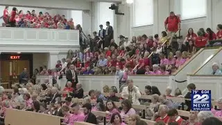 Pro-Life and Pro-Choice advocates testify on abortion access bill