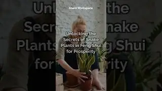 Snake-plant secrets for prosperity #snakeplant #snakeplantcare #fengshui #fengshuilife