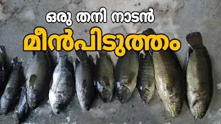 Oru Thani nadan mean Pidutham | A solitary folk fishing