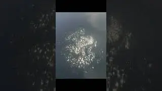 Что же у нас там в неизведанных водах #bikini #memes #funny #cringe #прикол #смех