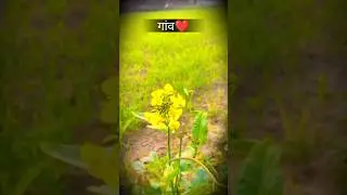 farming reels ❤️🌍 #song #farming #khetibadi #dailyshorts #virulshorts