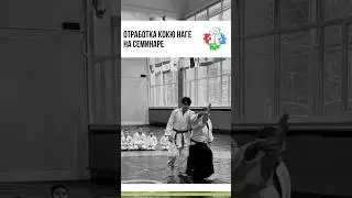 Отработка кокю наге. Базовая техника. #айкидо #спорт #айкидодлявсех #детскийклуб