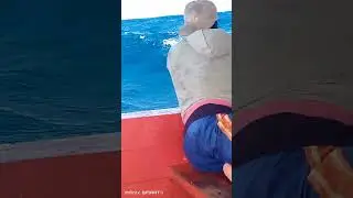 Chepe pesca