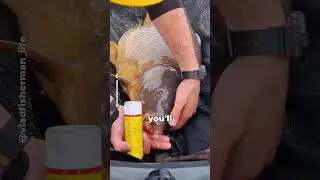 What is he spraying in this fishes mouth!?