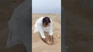 Extracting Pumpkin 🎃 In Sand Desert 🏜️ #survival #camping #outdoors #lifehacks #bushcraft