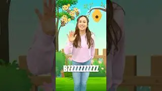 Where Is the Beehive? 🐝 | Fun Fingerplay for Toddlers & Preschoolers | Miss Jolie #fingerplay #kids