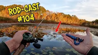 I GOT 'EM MAN!!! | Rod-Cast Ep:104
