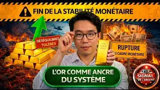 L&rsquo;OR COMME ANCRE MON&Eacute;TAIRE : La Fin De L&rsquo;Illusion De Stabilit&eacute; Globale