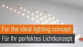 LED Lighting (poultry house)