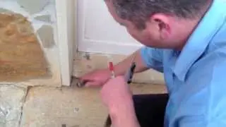 Atlanta's Free Termite Inspection | Pacific Pest Solutions (Part One)