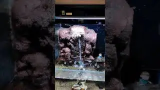 Female betta fish | waterfall aquarium setup | Breeding pair betta fish | #bettafish #waterfall
