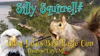 Harriet at Dawn & Dusk &mdash; Plus One Very Curious Squirrel