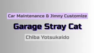Garage Stray Cat PV
