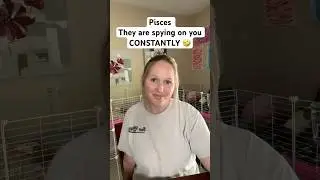 Pisces- They are spying on you CONSTANTLY... #SweetSoulTarot #Psychic #DailyPiscesTarot