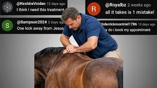 HORSE CHIROPRACTOR - Chat Music