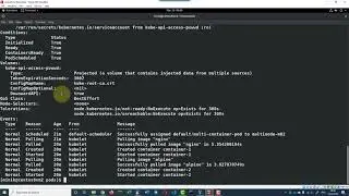 Kubernetes check container env variables