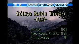 Fling Posse - Shibuya Marble Texture-PCCS- (KY 44308) 노래방 カラオケ