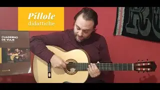 Il Rasgueado sulla chitarra flamenco - Giovanni Cigliano | Salvador Cortez
