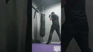 boxing may 2025