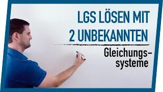 LGS lösen mit 2 Unbekannten | Mathe by Daniel Jung