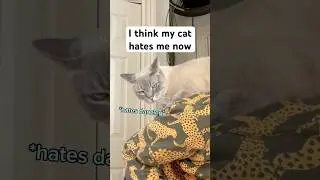 I tried dancing with my crabby cat