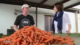 AISD freshening up the school lunch line with local, organic options