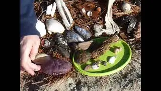 Beachcombing, Southern Maine Coast in November