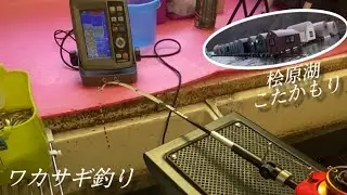 魚影よし！食いよし！後は腕次第！#桧原湖ワカサギ釣り#こたかもり