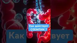 Препараты вроде Оземпика работают не магически ⚠️
