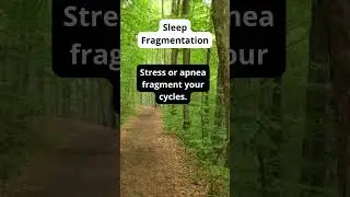 Sleep Hacks for Better Rest | Fix Insomnia Naturally-Daily Sleep Tips | Fall Asleep Faster