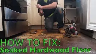 How to Fix Water Damaged Hardwood Floors | Merion Services