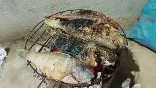 Время для гриля! Вкуснейшая рыба лоро.