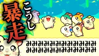 こうし、壊れる【とっとこハム太郎４にじいろ大行進でちゅ】