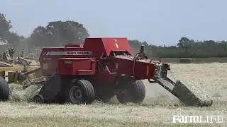 Better Bermuda Hay for Horses: Matthew Menke