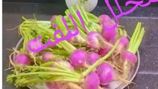 ملك المخللات  الشتويه 😋مخلل اللفت وجماله  👌😋