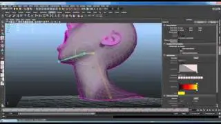 How to Paint Skin Weights in Maya 2011