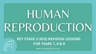 Male and Female (Human) Reproduction - Biology Revision (Years 7, 8 & 9)