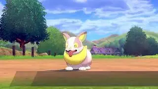 Shiny Yamper #1/25 Premier Ball